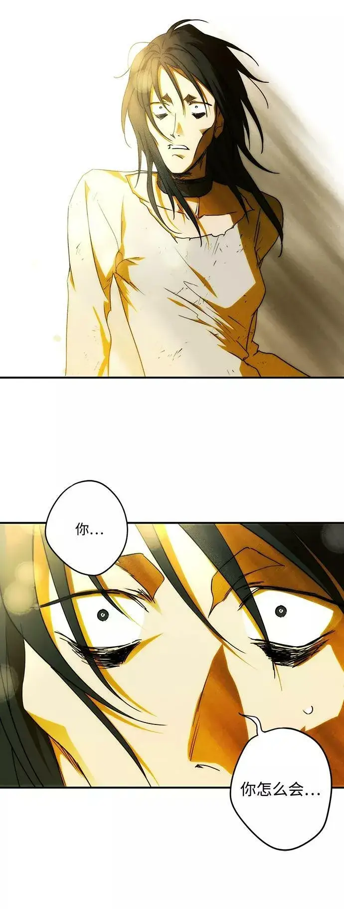 漫画《落日夕阳，冰冷目光》[第73话] 希迦尔（7）第65张图
