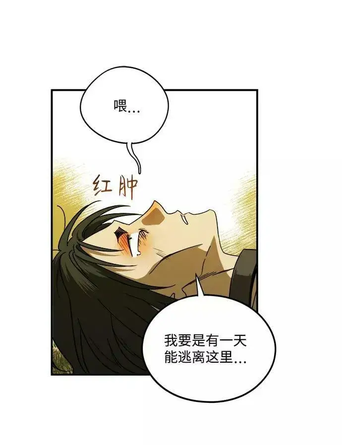 漫画《落日夕阳，冰冷目光》[第74话] 希迦尔（8）第36张图