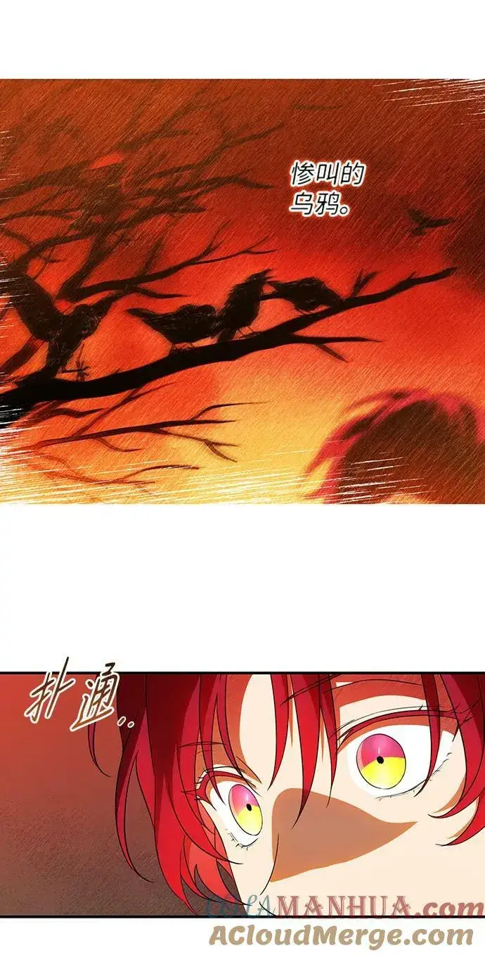 漫画《落日夕阳，冰冷目光》[第141话] 命运的方向（3）第16张图