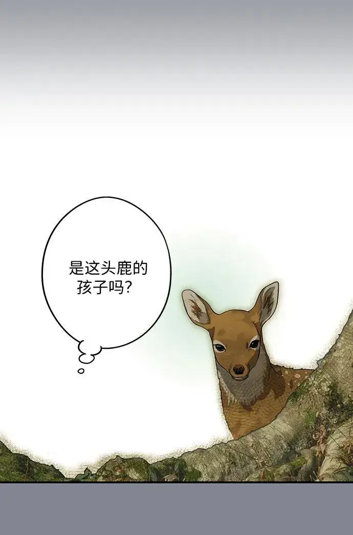《落日夕阳，冰冷目光》[第2季 15话] 故乡（3）图20
