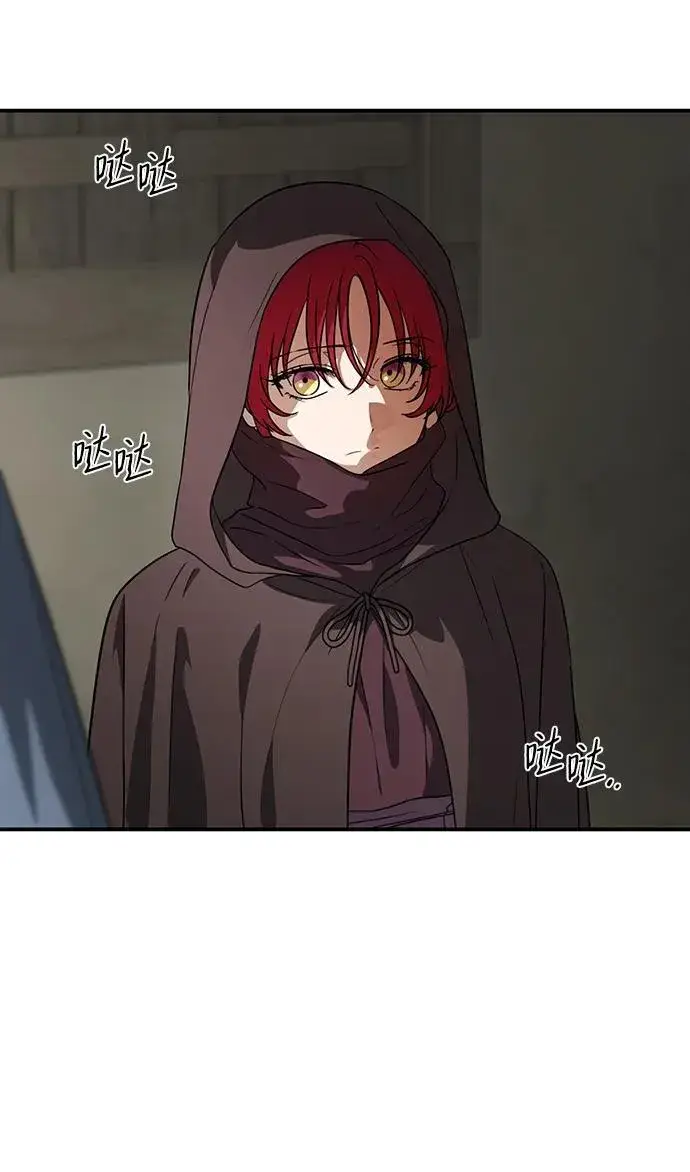 《落日夕阳，冰冷目光》[第2季 20话] 追击（1）图33