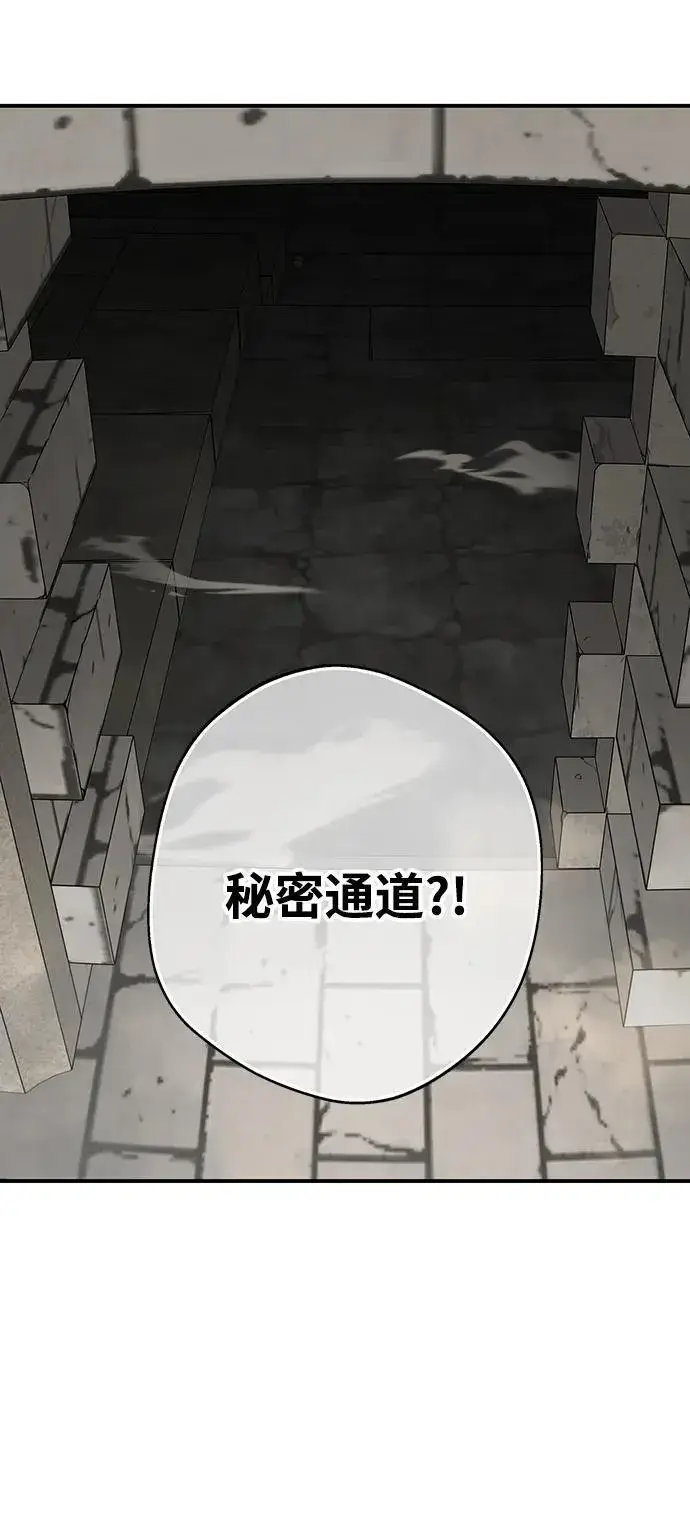 《落日夕阳，冰冷目光》[第2季 25话] 摇篮的约定（1）图48