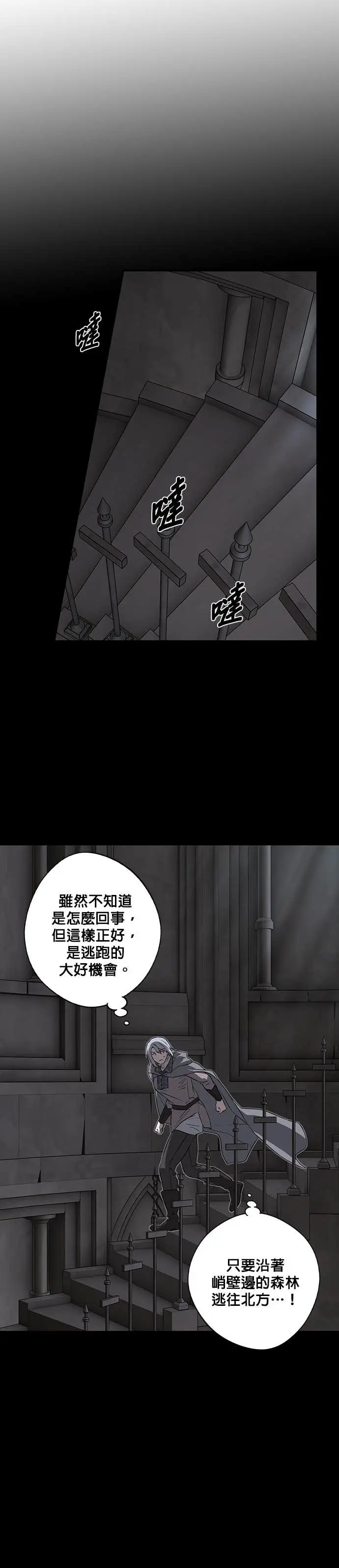 漫画《落日夕阳，冰冷目光》外传 第4话 银之帝国骑士（4）第14张图