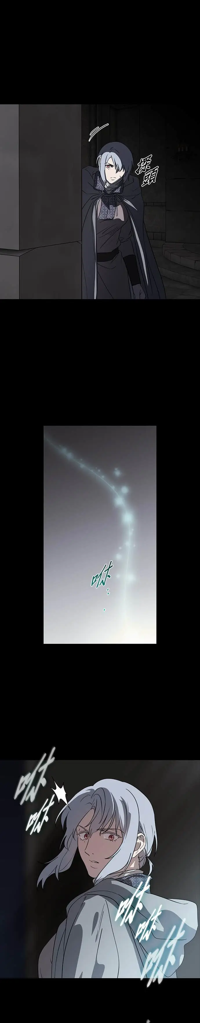 漫画《落日夕阳，冰冷目光》外传 第4话 银之帝国骑士（4）第15张图