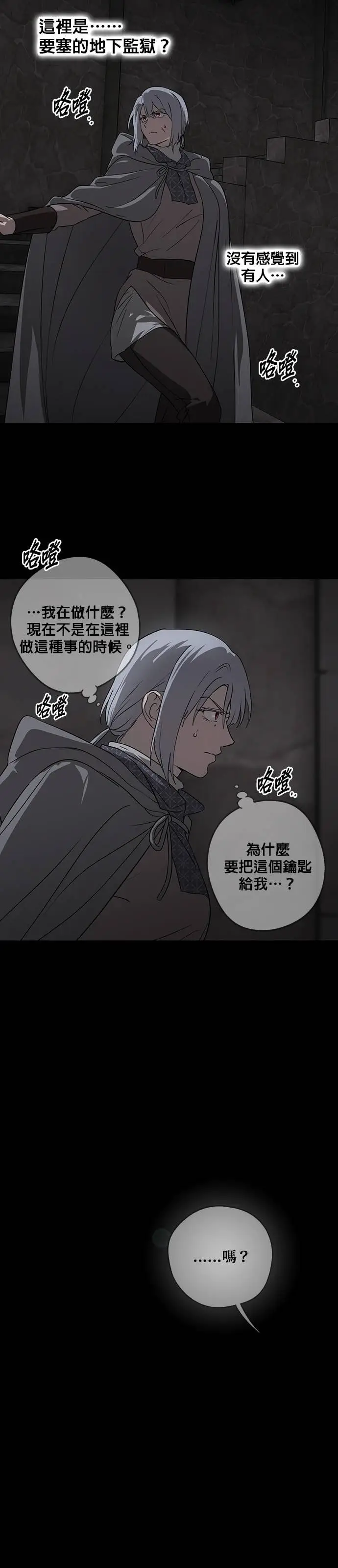 漫画《落日夕阳，冰冷目光》外传 第4话 银之帝国骑士（4）第20张图