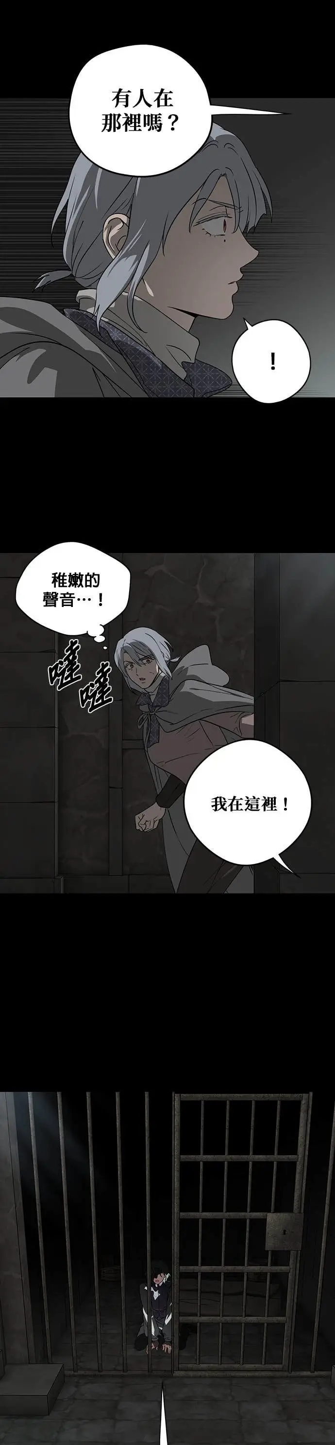 漫画《落日夕阳，冰冷目光》外传 第4话 银之帝国骑士（4）第21张图