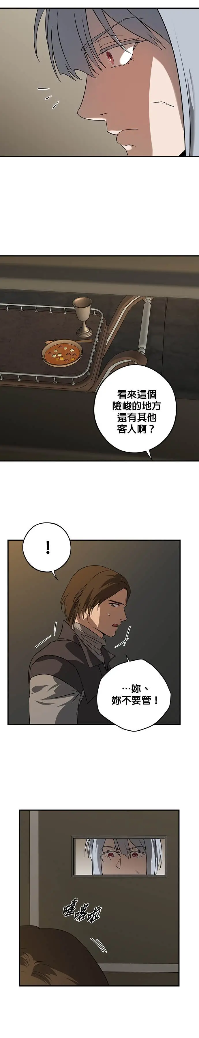 漫画《落日夕阳，冰冷目光》外传 第4话 银之帝国骑士（4）第3张图