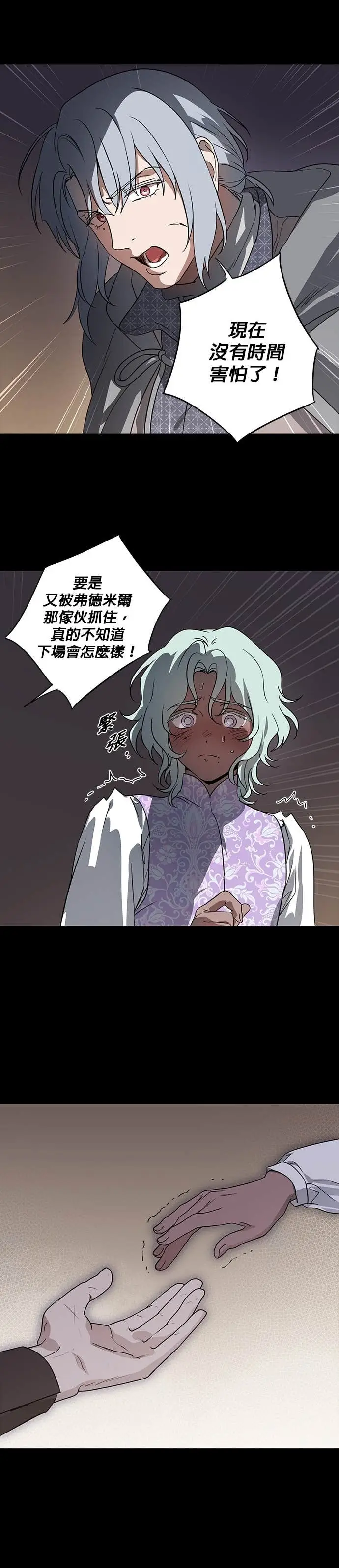 漫画《落日夕阳，冰冷目光》外传 第5话 银之帝国骑士（5）第17张图