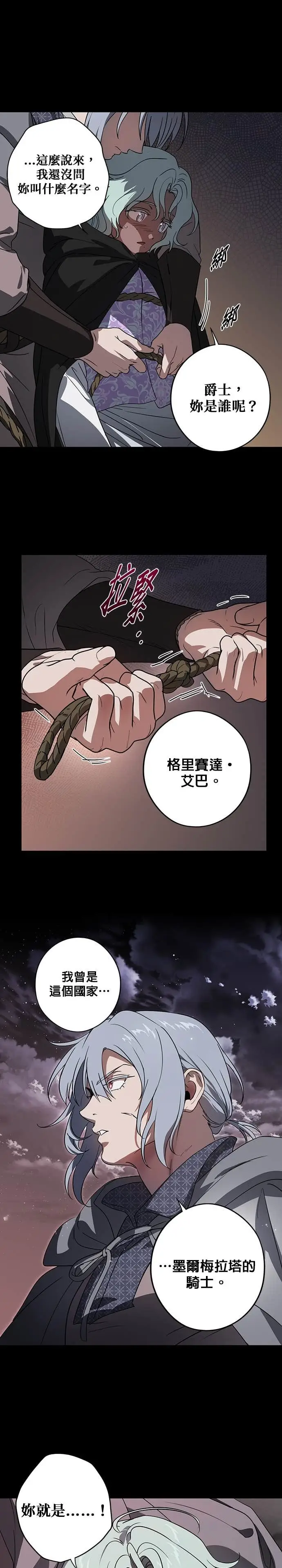 漫画《落日夕阳，冰冷目光》外传 第5话 银之帝国骑士（5）第18张图