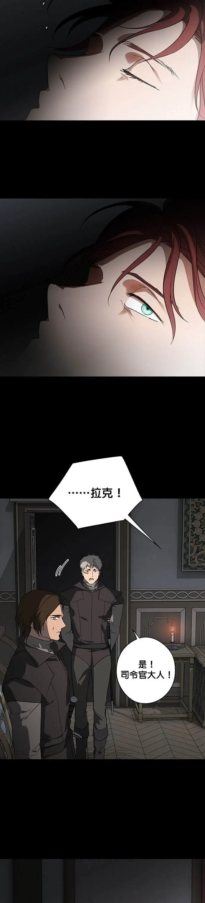 漫画《落日夕阳，冰冷目光》外传 第5话 银之帝国骑士（5）第21张图