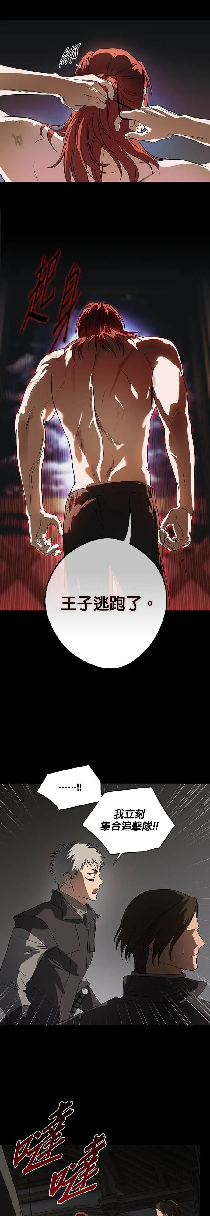 漫画《落日夕阳，冰冷目光》外传 第5话 银之帝国骑士（5）第23张图