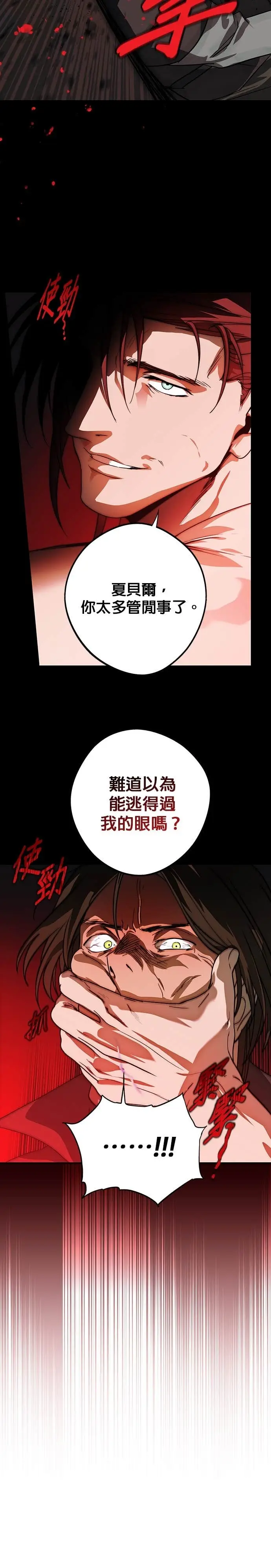 漫画《落日夕阳，冰冷目光》外传 第5话 银之帝国骑士（5）第25张图