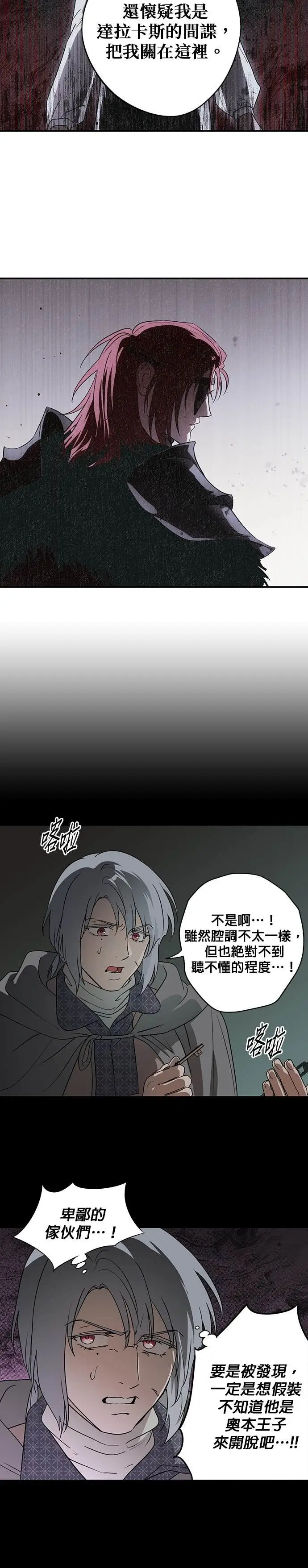 漫画《落日夕阳，冰冷目光》外传 第5话 银之帝国骑士（5）第5张图