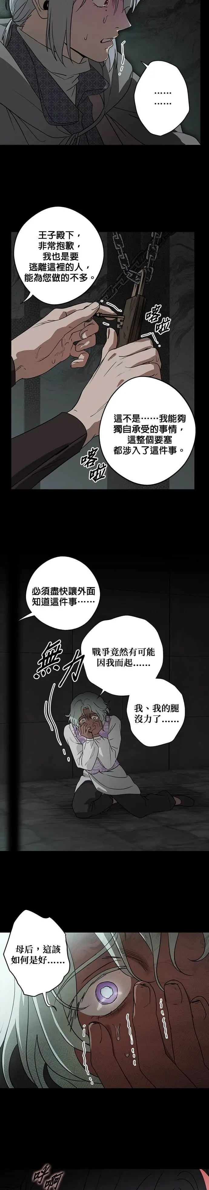 漫画《落日夕阳，冰冷目光》外传 第5话 银之帝国骑士（5）第7张图