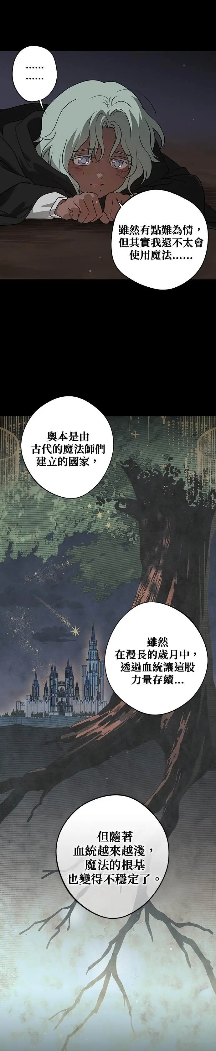 漫画《落日夕阳，冰冷目光》外传 第6话 银之帝国骑士（6）第12张图