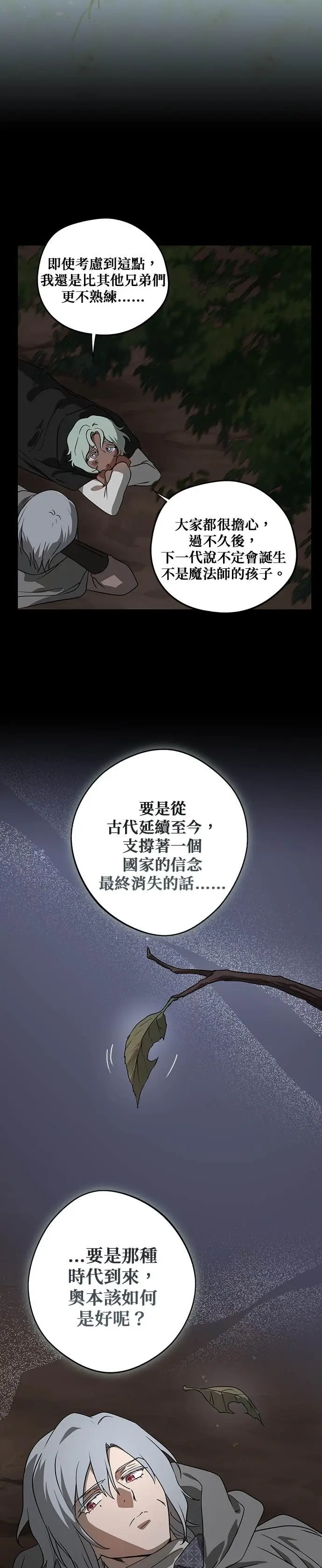 漫画《落日夕阳，冰冷目光》外传 第6话 银之帝国骑士（6）第13张图