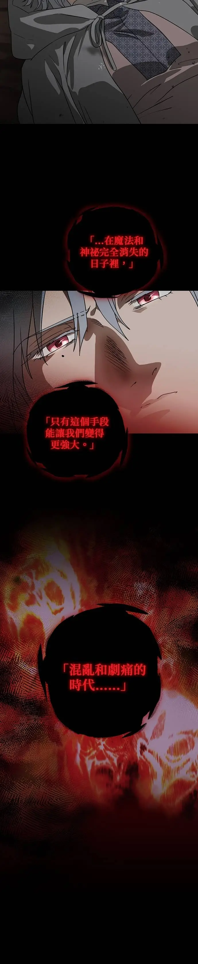 漫画《落日夕阳，冰冷目光》外传 第6话 银之帝国骑士（6）第14张图