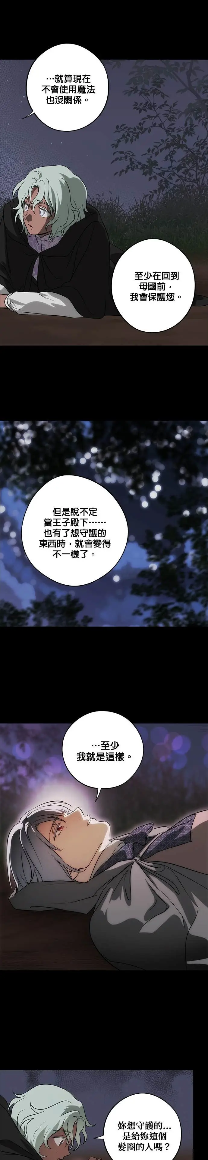 漫画《落日夕阳，冰冷目光》外传 第6话 银之帝国骑士（6）第21张图