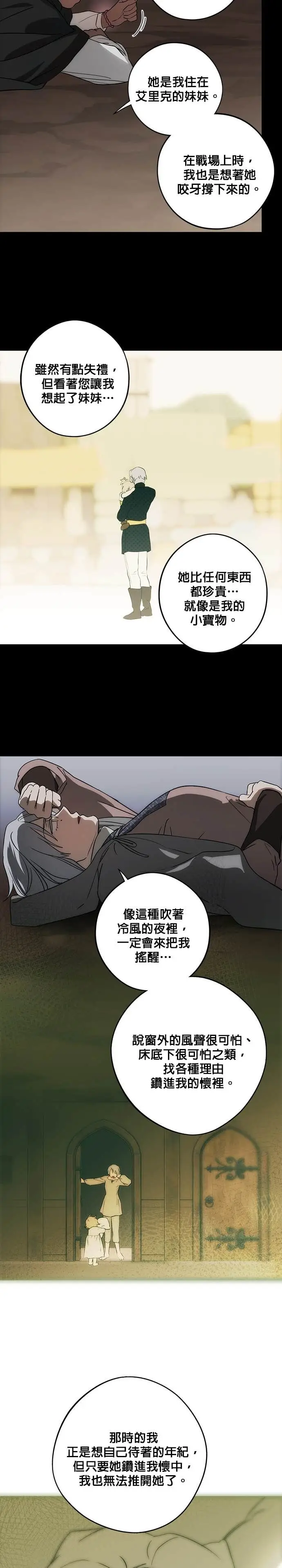 漫画《落日夕阳，冰冷目光》外传 第6话 银之帝国骑士（6）第22张图