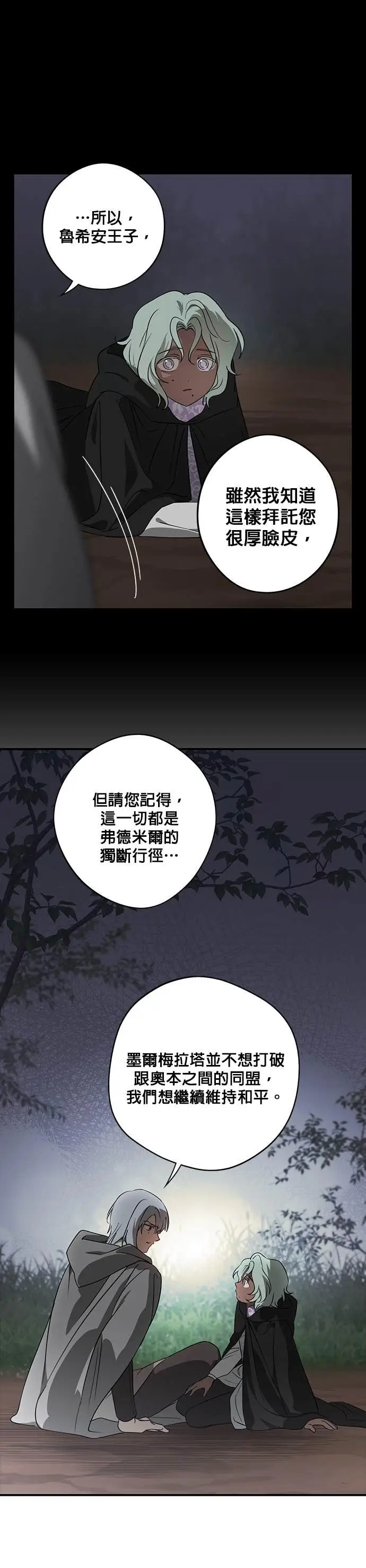 漫画《落日夕阳，冰冷目光》外传 第6话 银之帝国骑士（6）第24张图