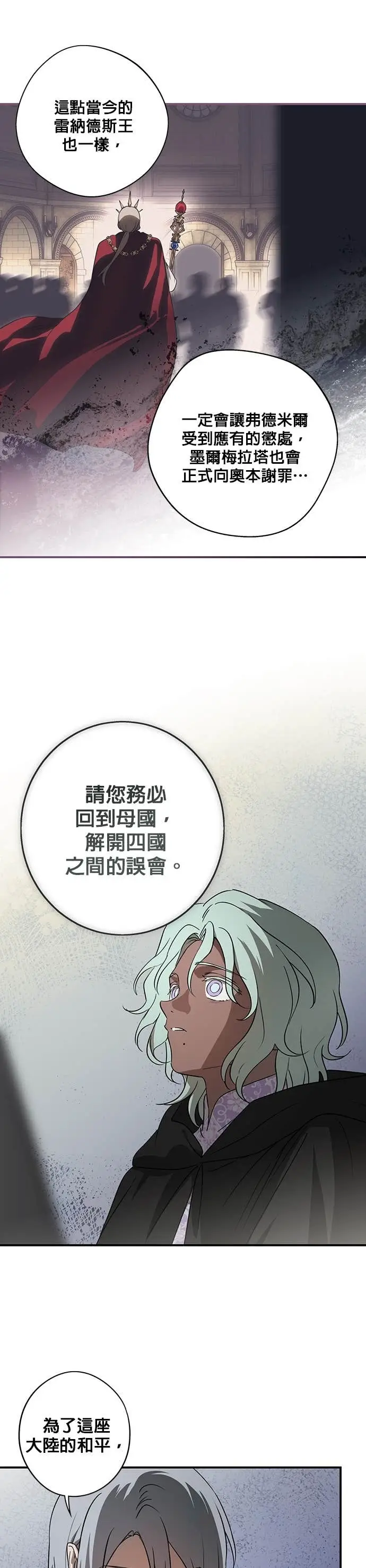 漫画《落日夕阳，冰冷目光》外传 第6话 银之帝国骑士（6）第25张图