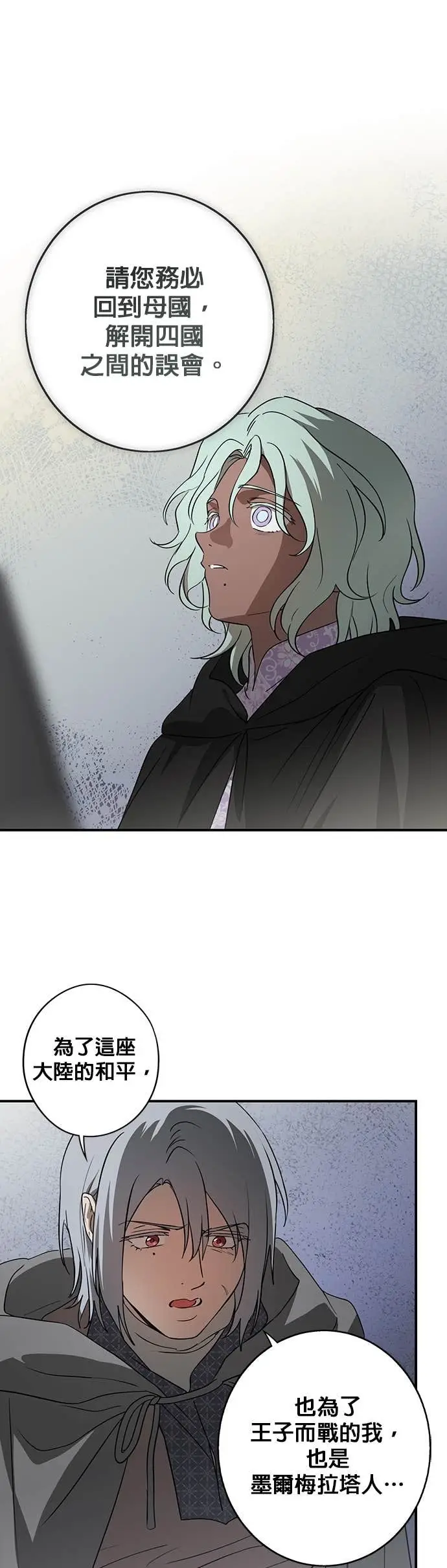 漫画《落日夕阳，冰冷目光》外传 第6话 银之帝国骑士（6）第28张图