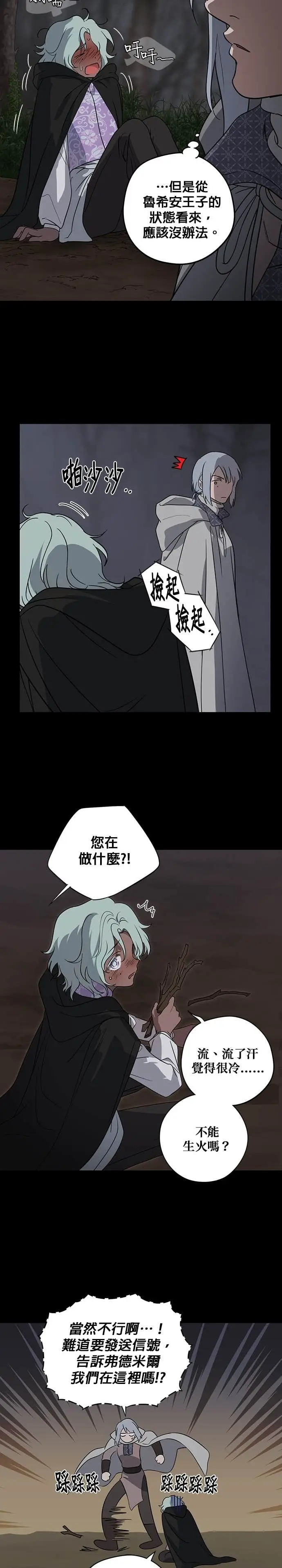 漫画《落日夕阳，冰冷目光》外传 第6话 银之帝国骑士（6）第4张图