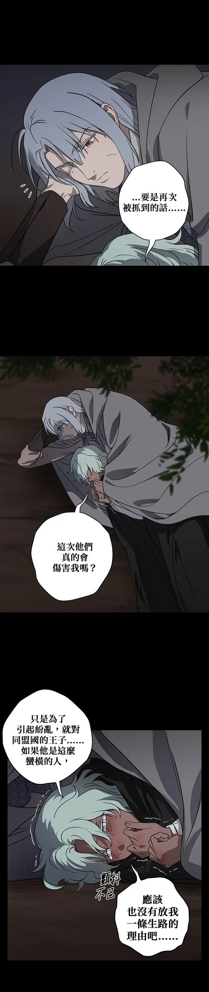 漫画《落日夕阳，冰冷目光》外传 第6话 银之帝国骑士（6）第6张图