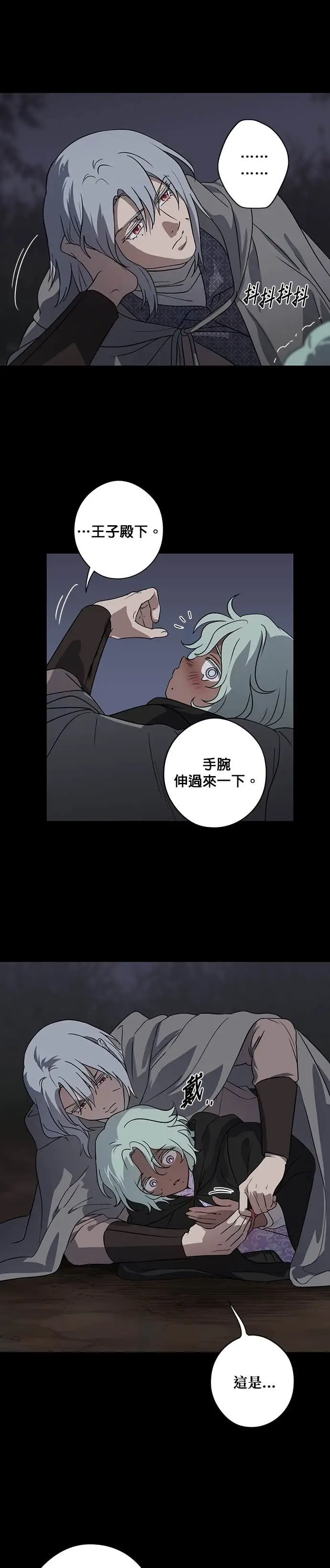 漫画《落日夕阳，冰冷目光》外传 第6话 银之帝国骑士（6）第7张图