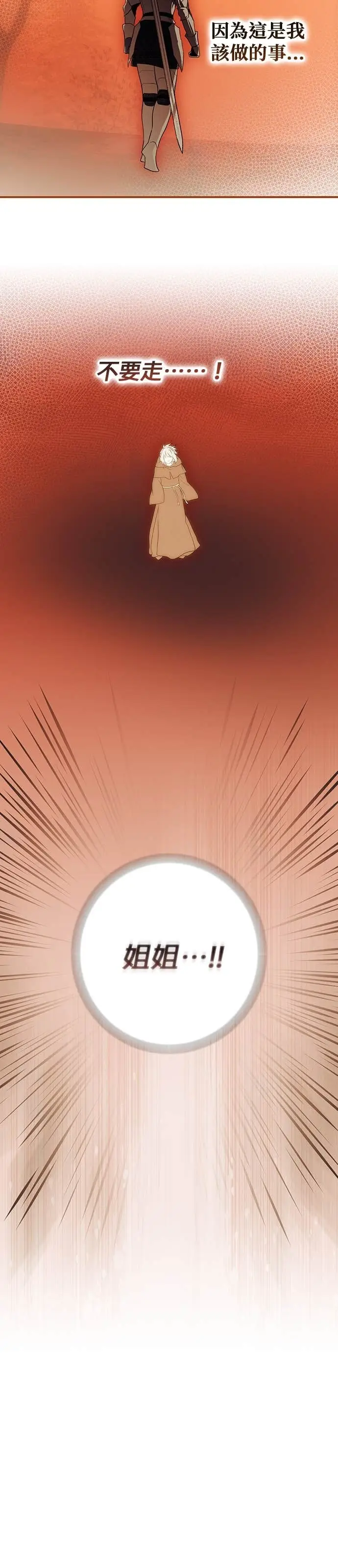 漫画《落日夕阳，冰冷目光》外传 第7话 银之帝国骑士（7）第10张图