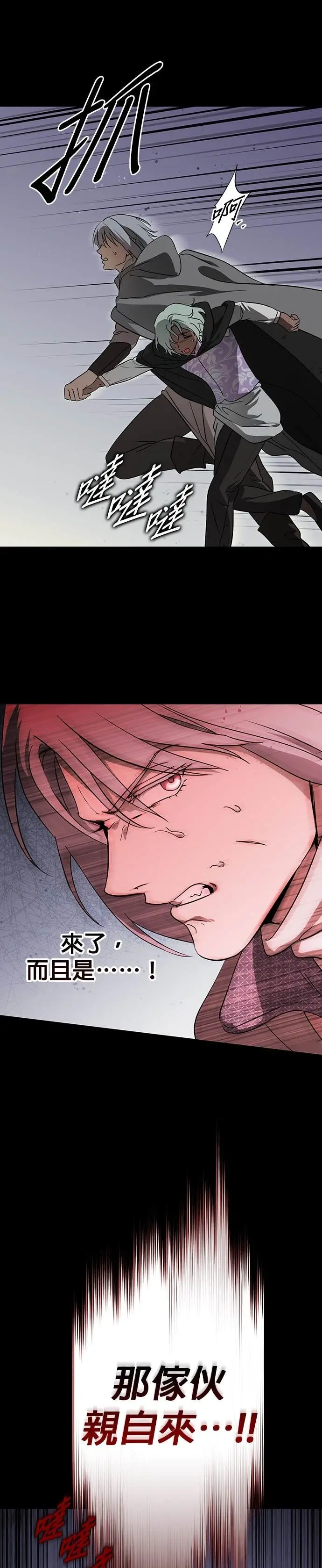 漫画《落日夕阳，冰冷目光》外传 第7话 银之帝国骑士（7）第14张图