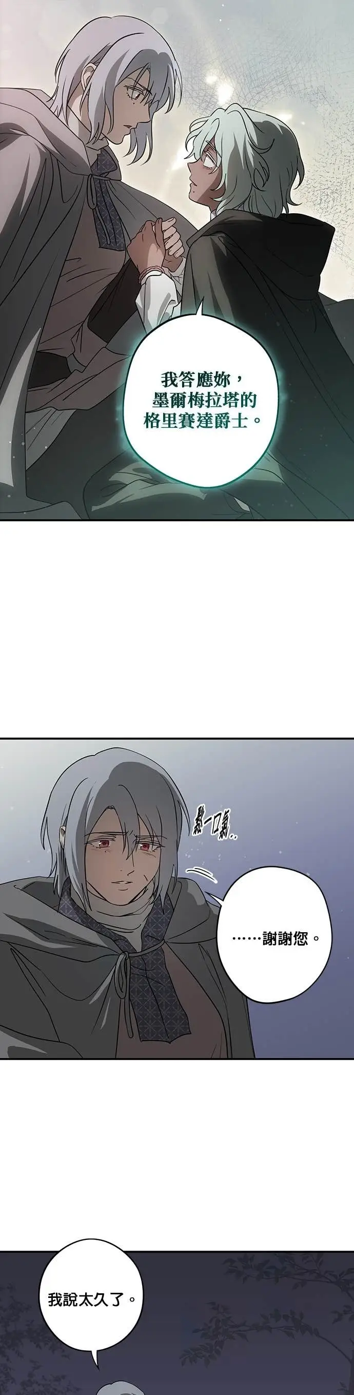 漫画《落日夕阳，冰冷目光》外传 第7话 银之帝国骑士（7）第4张图