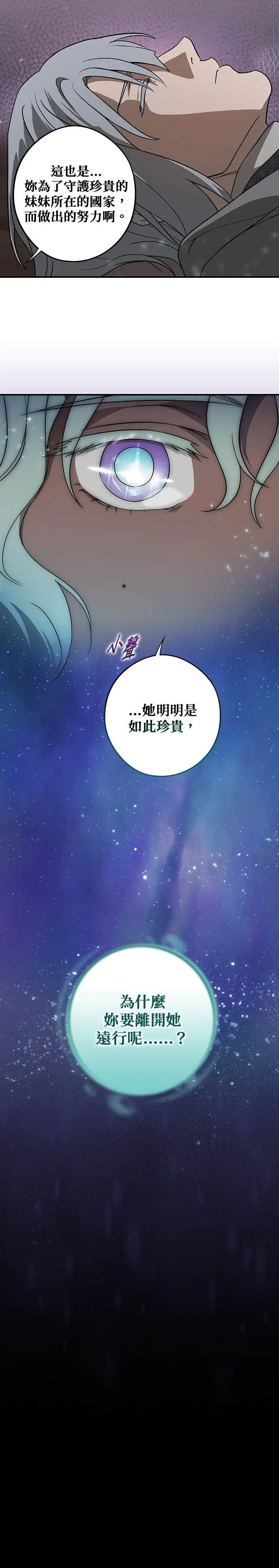 漫画《落日夕阳，冰冷目光》外传 第7话 银之帝国骑士（7）第7张图