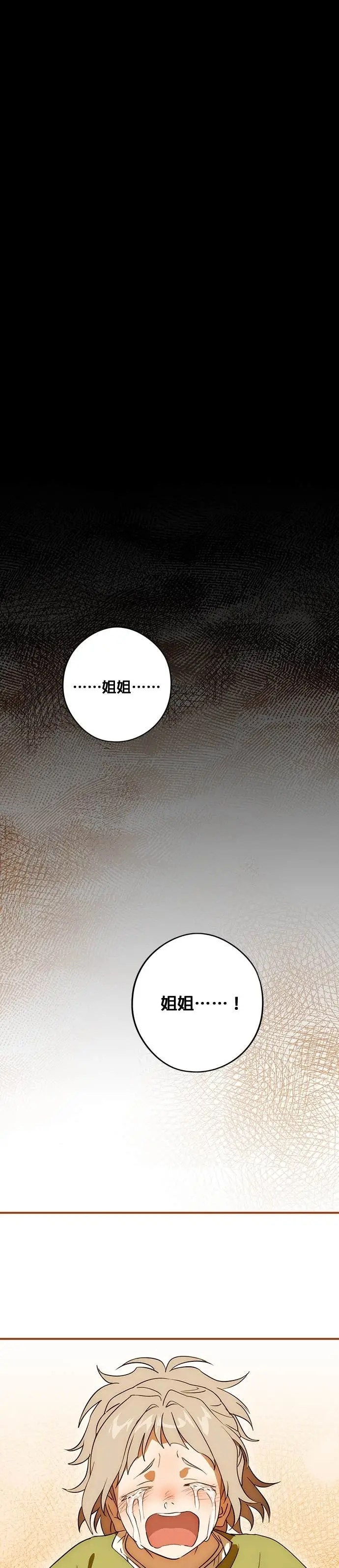 漫画《落日夕阳，冰冷目光》外传 第7话 银之帝国骑士（7）第8张图