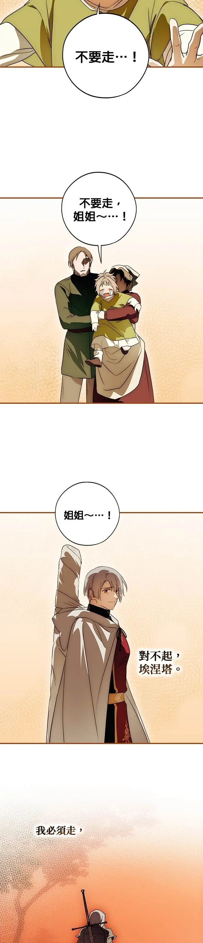 漫画《落日夕阳，冰冷目光》外传 第7话 银之帝国骑士（7）第9张图