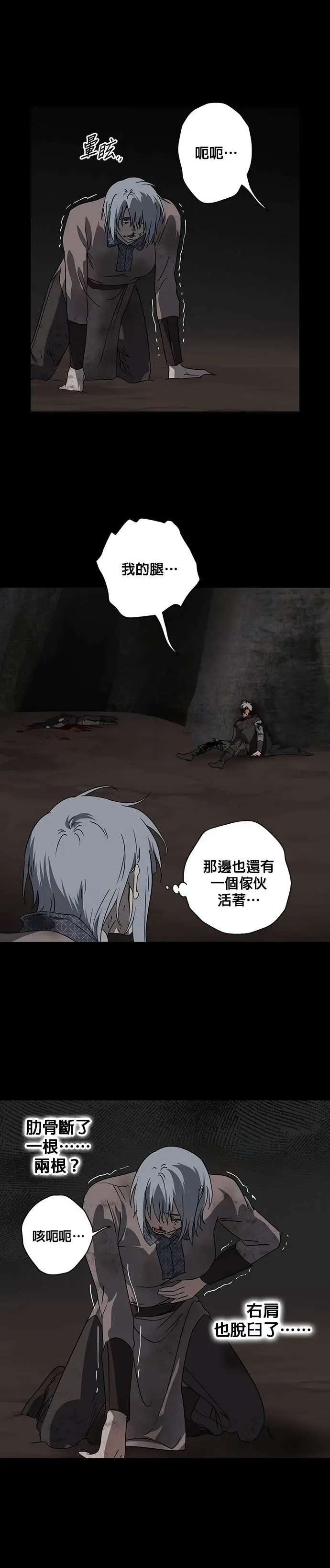 漫画《落日夕阳，冰冷目光》外传 第9话 银之帝国骑士（9）第12张图