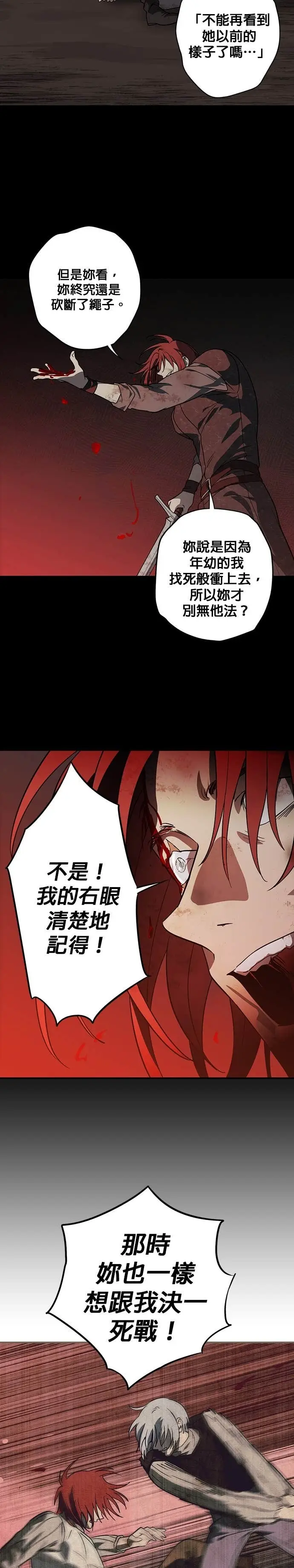 漫画《落日夕阳，冰冷目光》外传 第9话 银之帝国骑士（9）第19张图