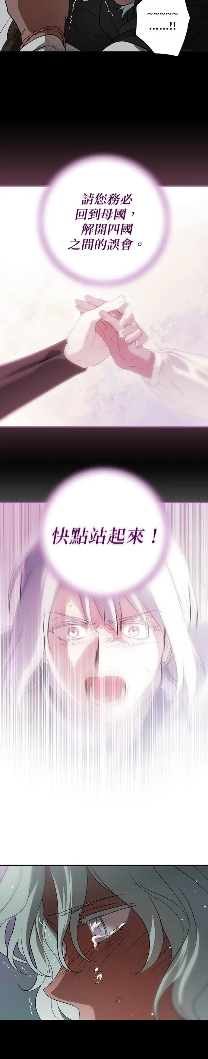 漫画《落日夕阳，冰冷目光》外传 第9话 银之帝国骑士（9）第8张图