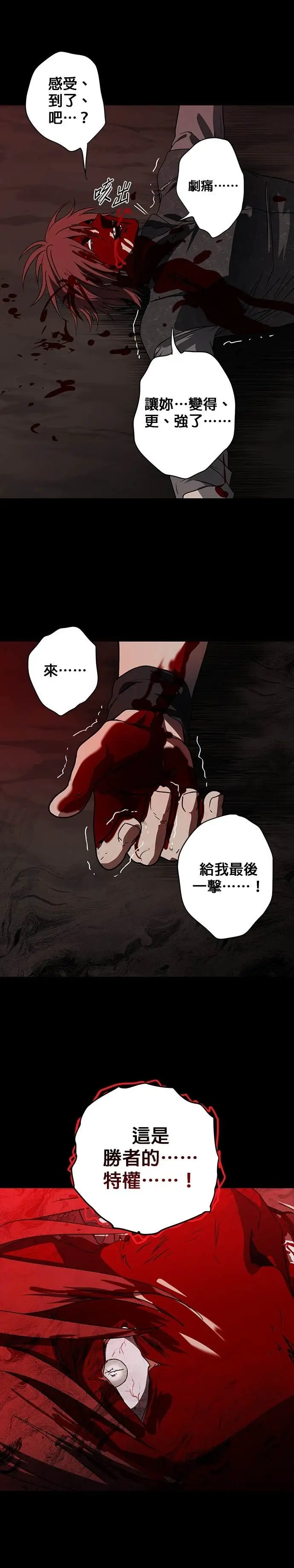 漫画《落日夕阳，冰冷目光》外传 第10话 银之帝国骑士（10）第12张图