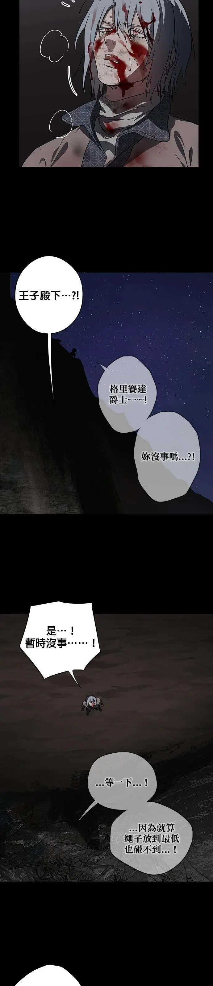 漫画《落日夕阳，冰冷目光》外传 第10话 银之帝国骑士（10）第17张图