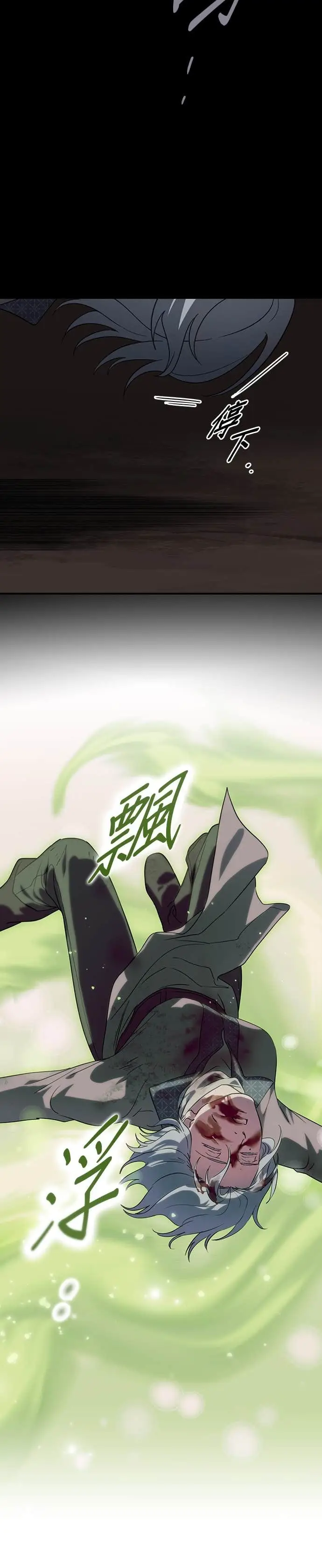 漫画《落日夕阳，冰冷目光》外传 第10话 银之帝国骑士（10）第20张图