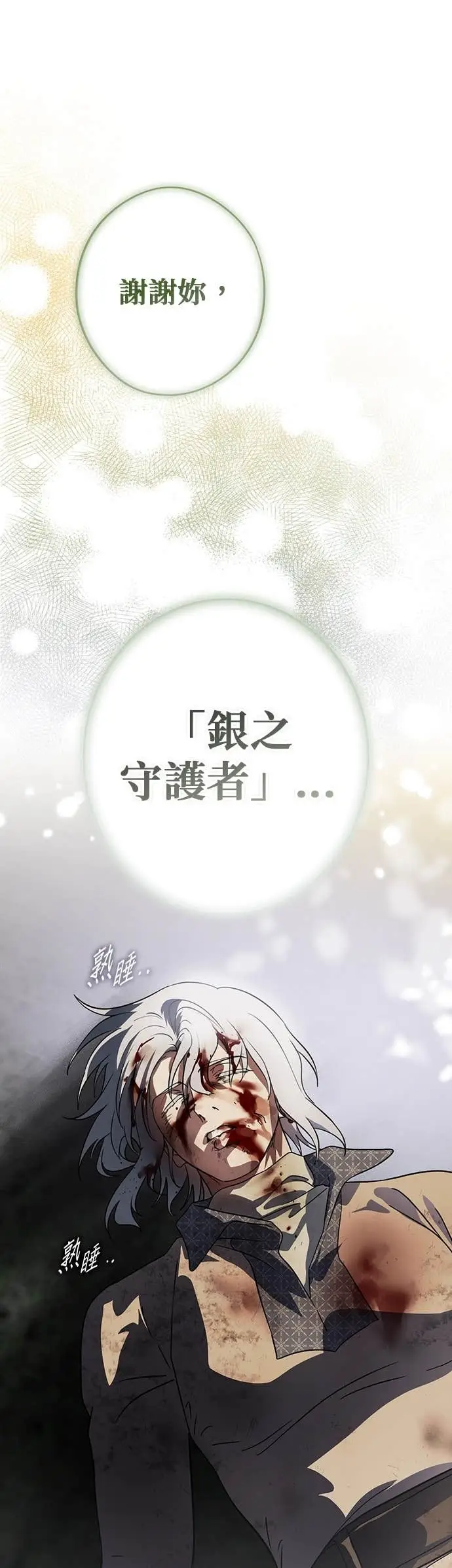 漫画《落日夕阳，冰冷目光》外传 第10话 银之帝国骑士（10）第28张图