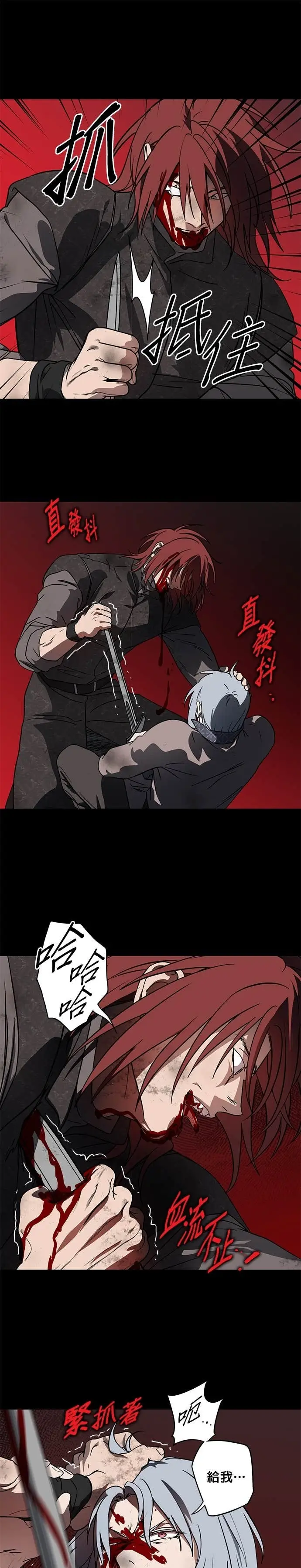 漫画《落日夕阳，冰冷目光》外传 第10话 银之帝国骑士（10）第5张图