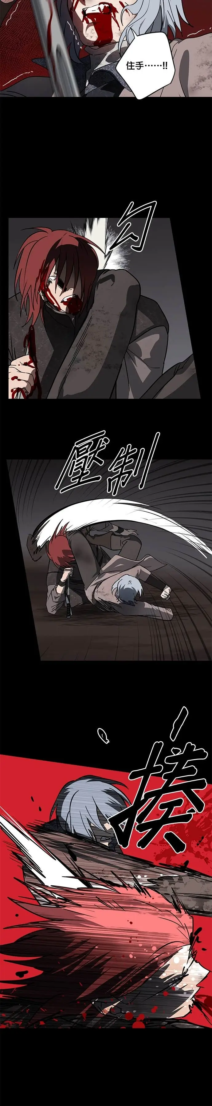漫画《落日夕阳，冰冷目光》外传 第10话 银之帝国骑士（10）第6张图