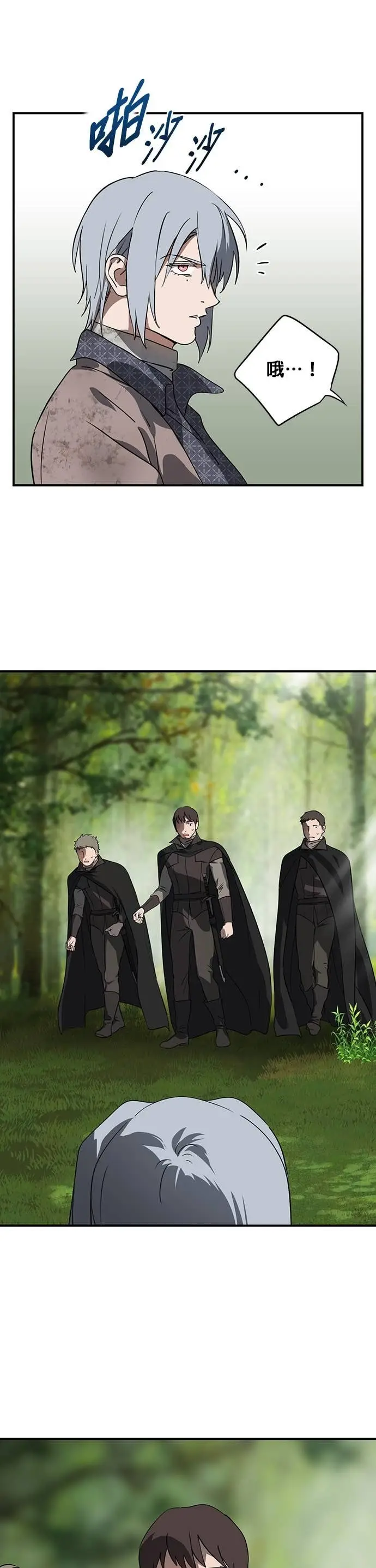 漫画《落日夕阳，冰冷目光》外传 第11话 银之帝国骑士（11）第13张图