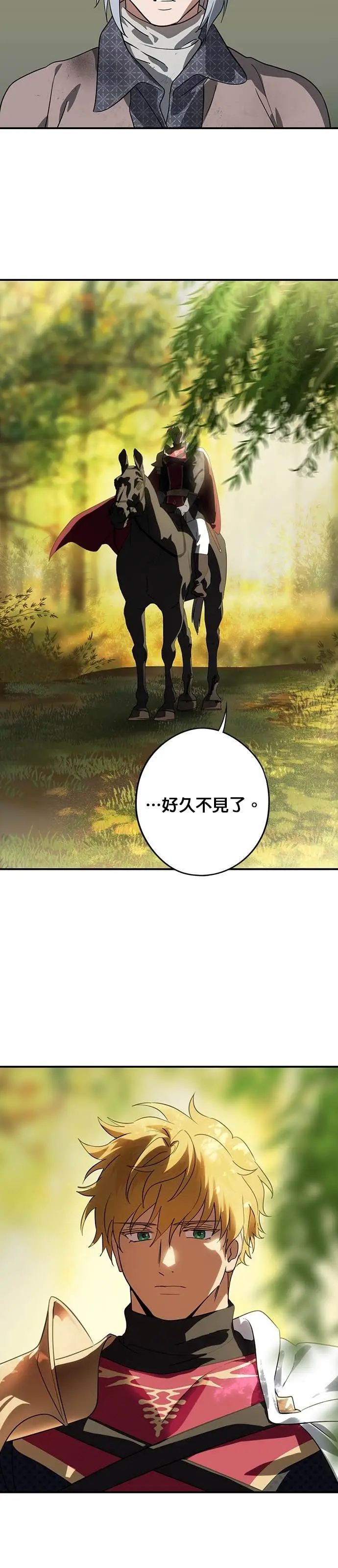 漫画《落日夕阳，冰冷目光》外传 第11话 银之帝国骑士（11）第17张图