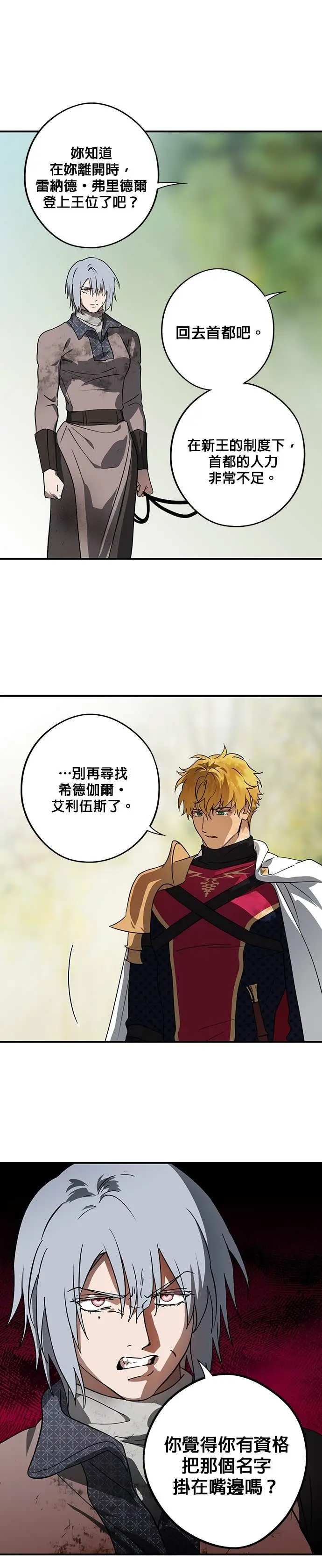 漫画《落日夕阳，冰冷目光》外传 第11话 银之帝国骑士（11）第21张图
