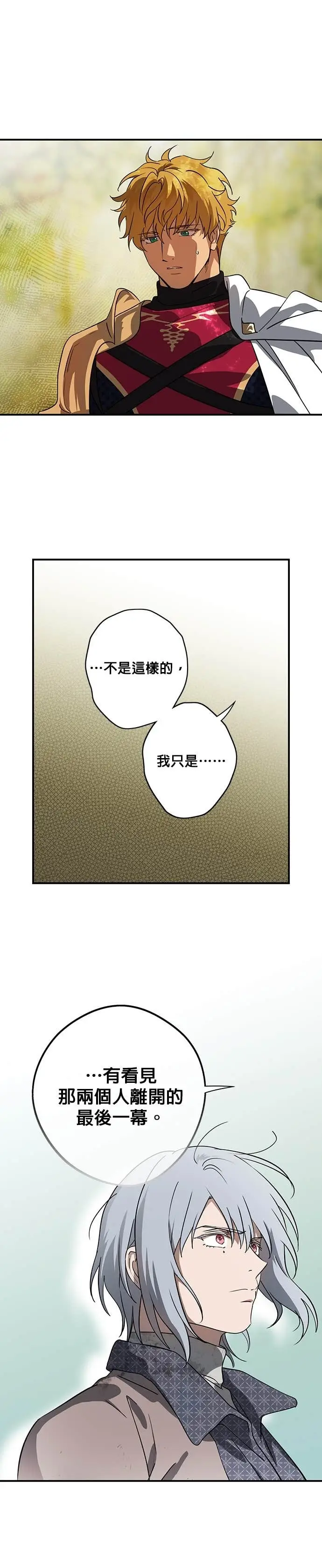 漫画《落日夕阳，冰冷目光》外传 第11话 银之帝国骑士（11）第22张图