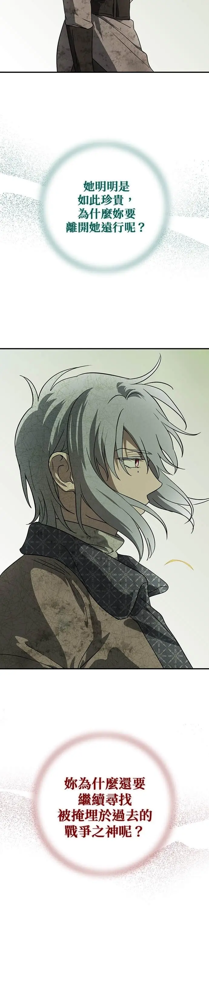 漫画《落日夕阳，冰冷目光》外传 第11话 银之帝国骑士（11）第25张图