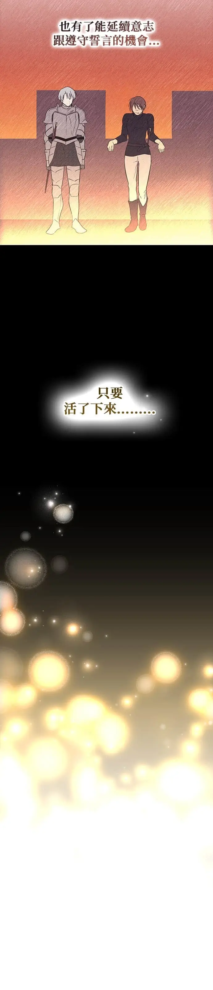 漫画《落日夕阳，冰冷目光》外传 第11话 银之帝国骑士（11）第8张图